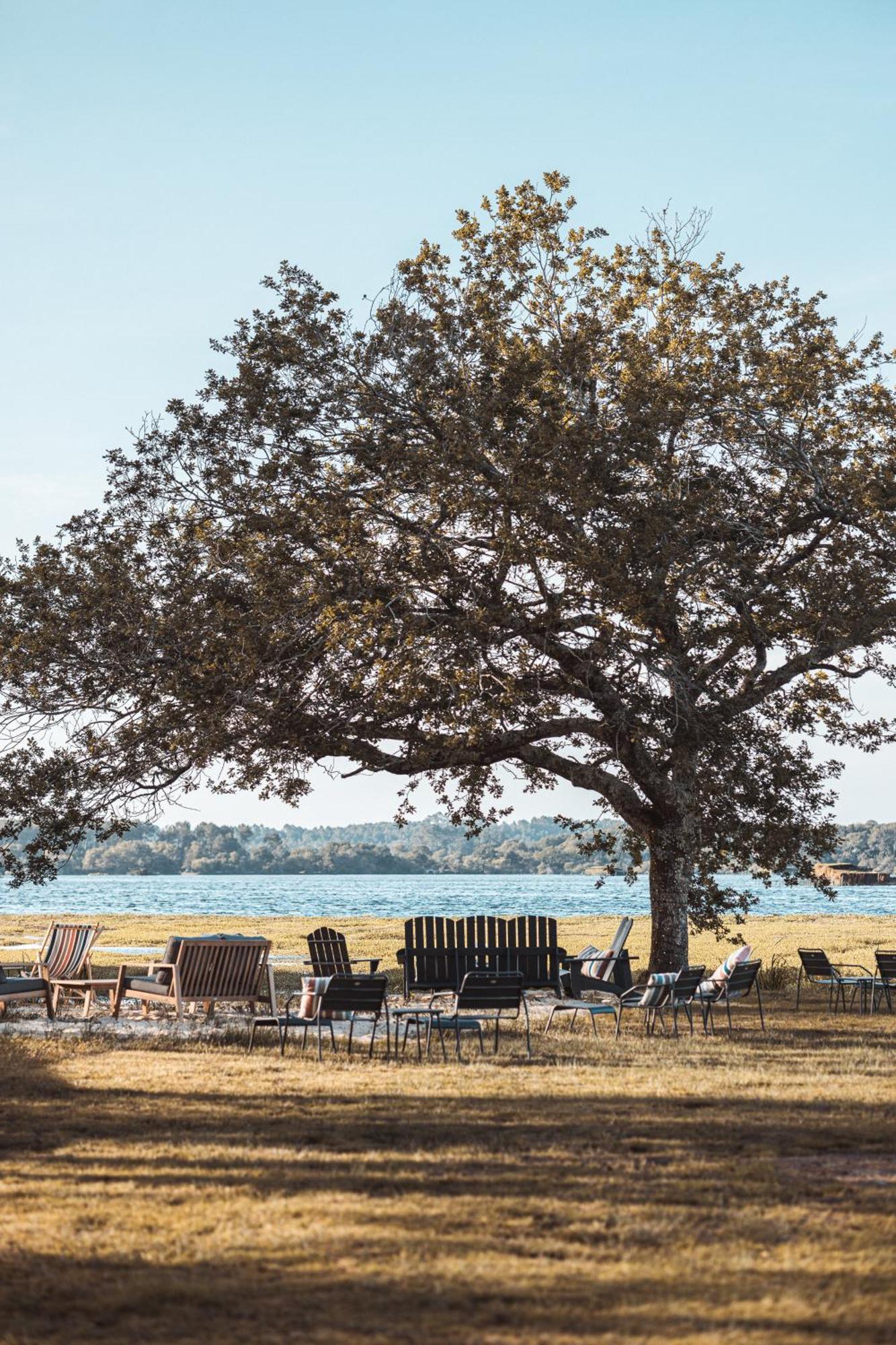 Villa De L'Etang Blanc Seignosse Εξωτερικό φωτογραφία