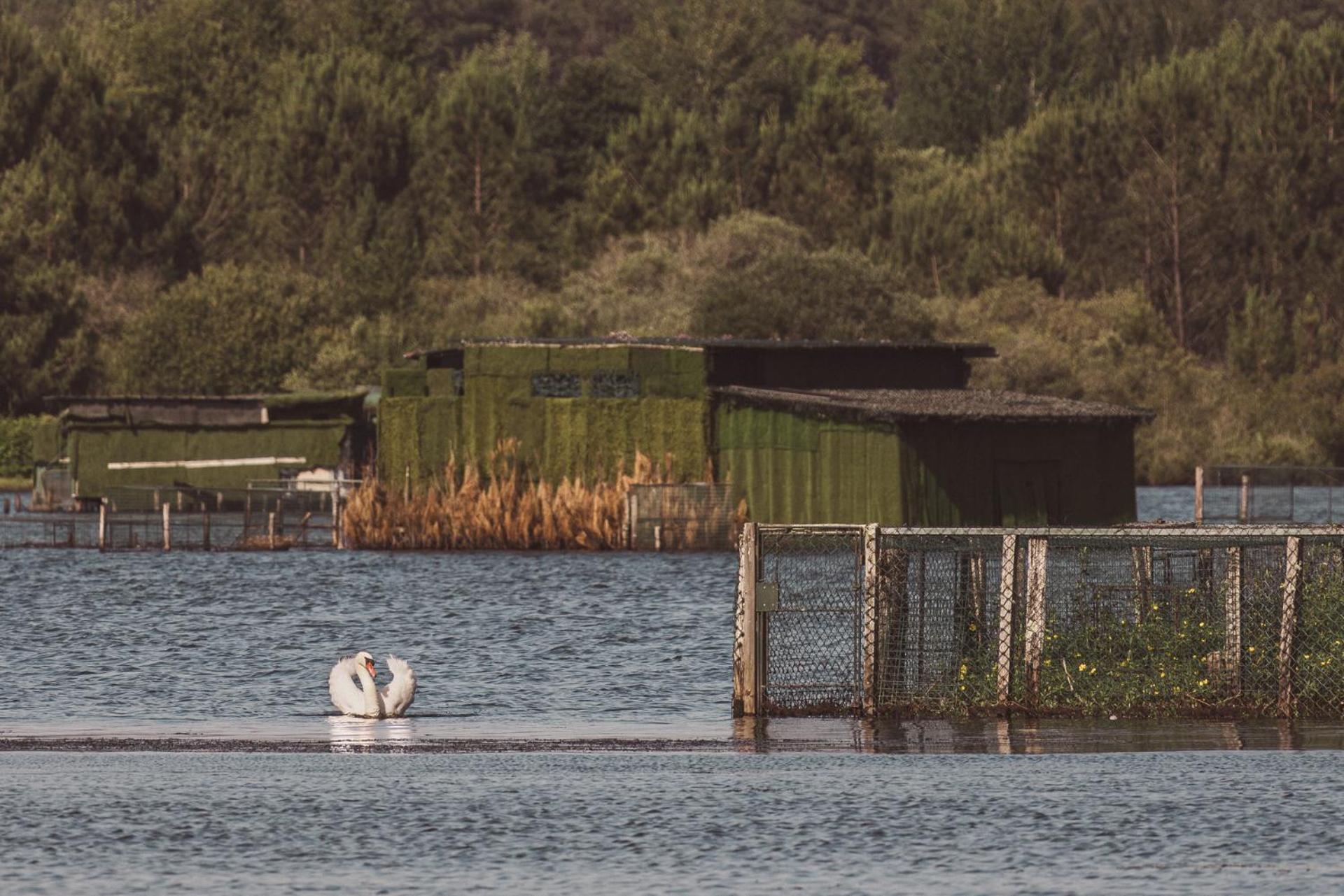 Villa De L'Etang Blanc Seignosse Εξωτερικό φωτογραφία