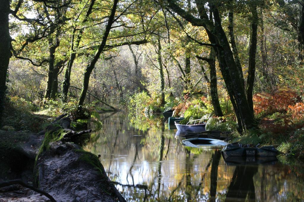 Villa De L'Etang Blanc Seignosse Εξωτερικό φωτογραφία